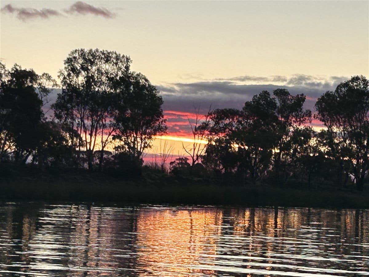 Riverland scenery seen from the tinny on the Murray