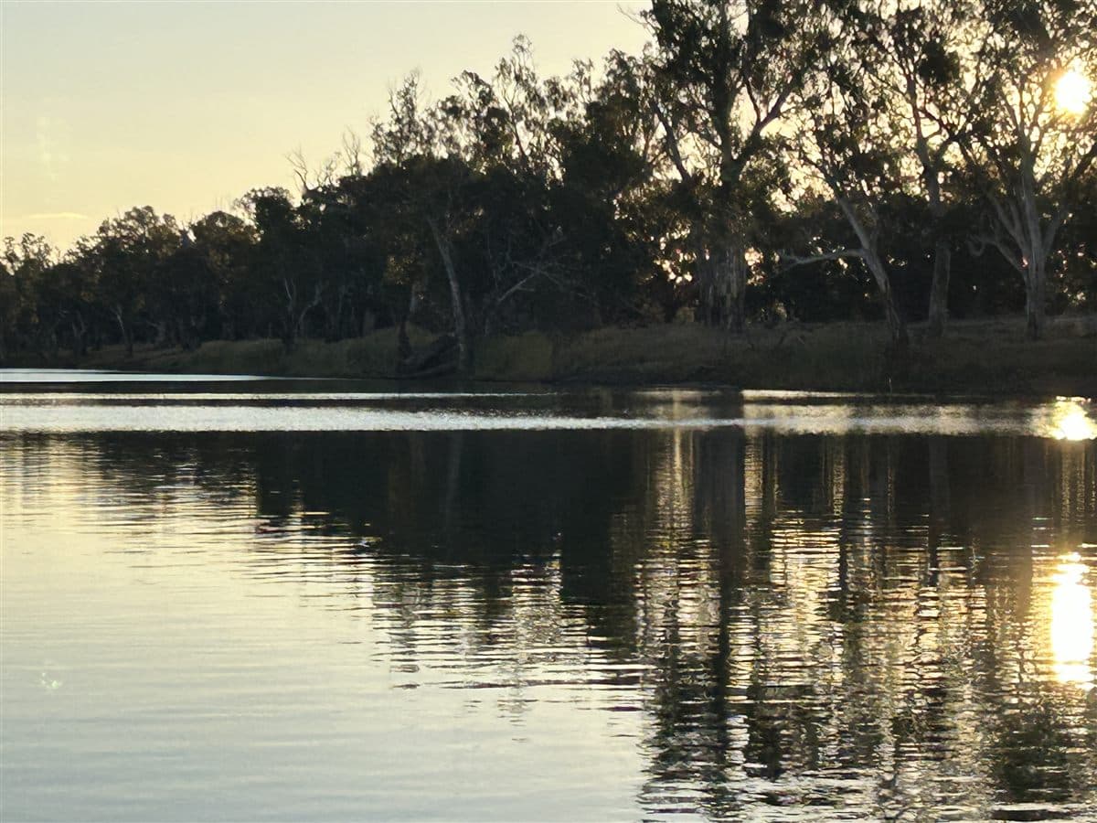 Late afternoon sun on the river with gum trees along the bank