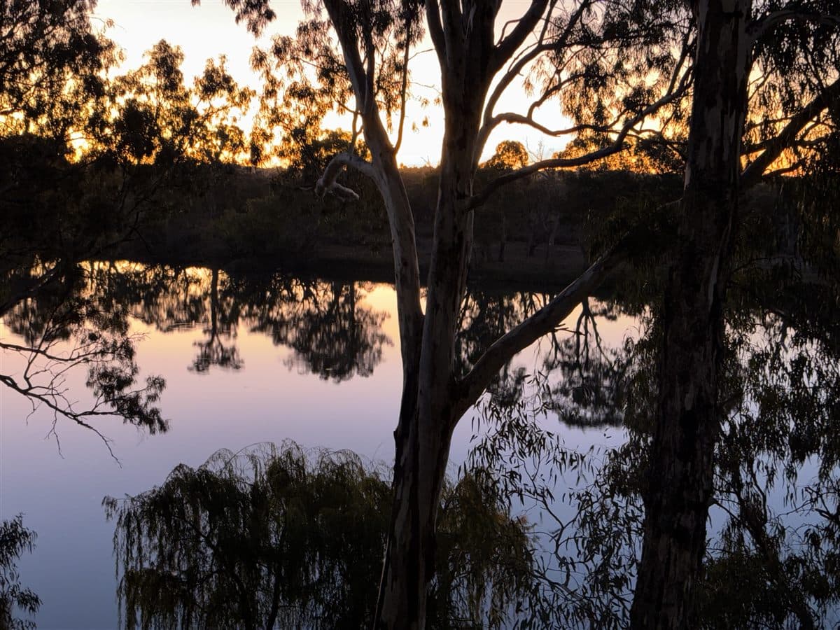 Dusk colours reflected in the Murray River through the gum trees