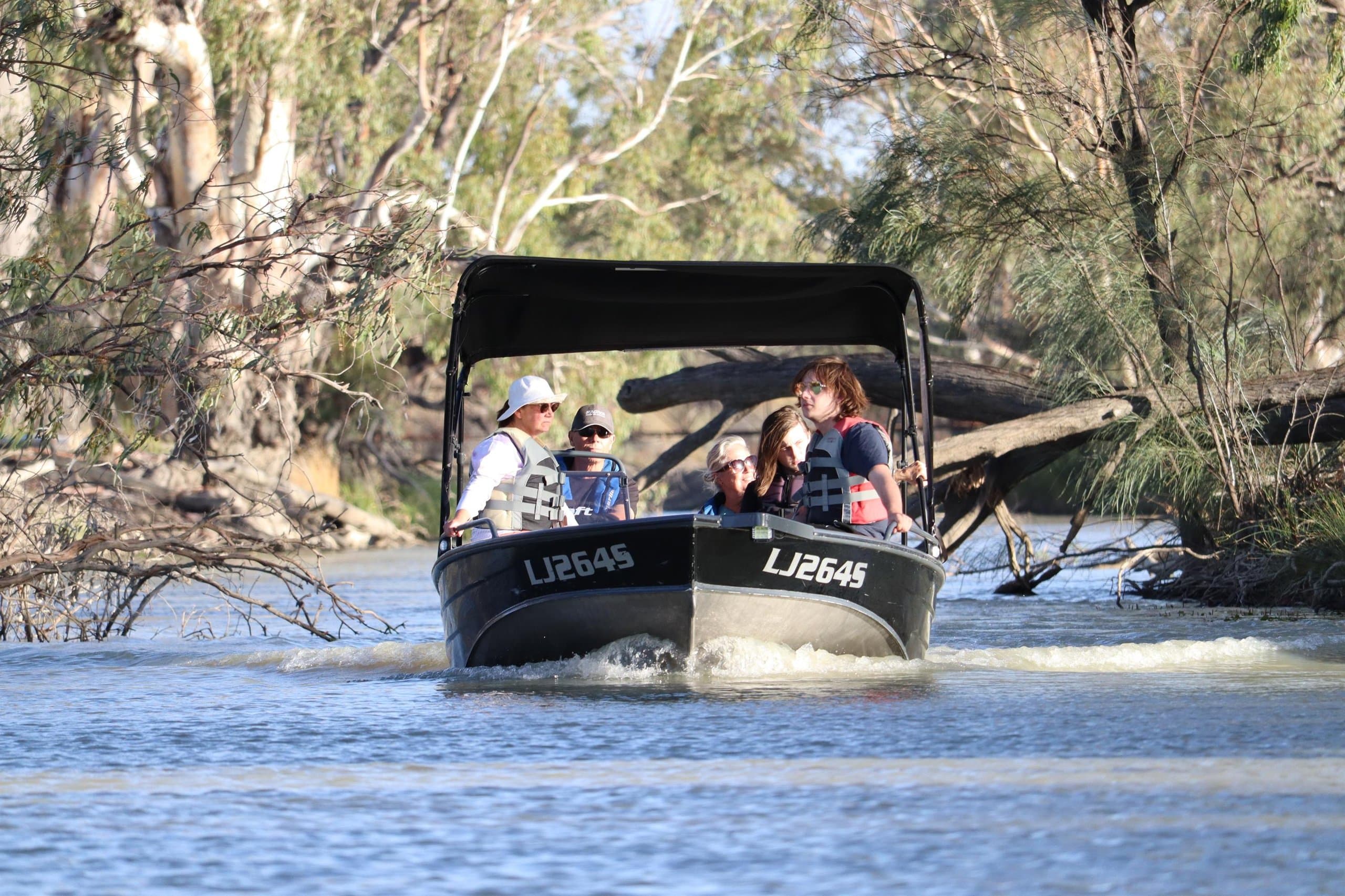 Murray River backwaters and wildlife