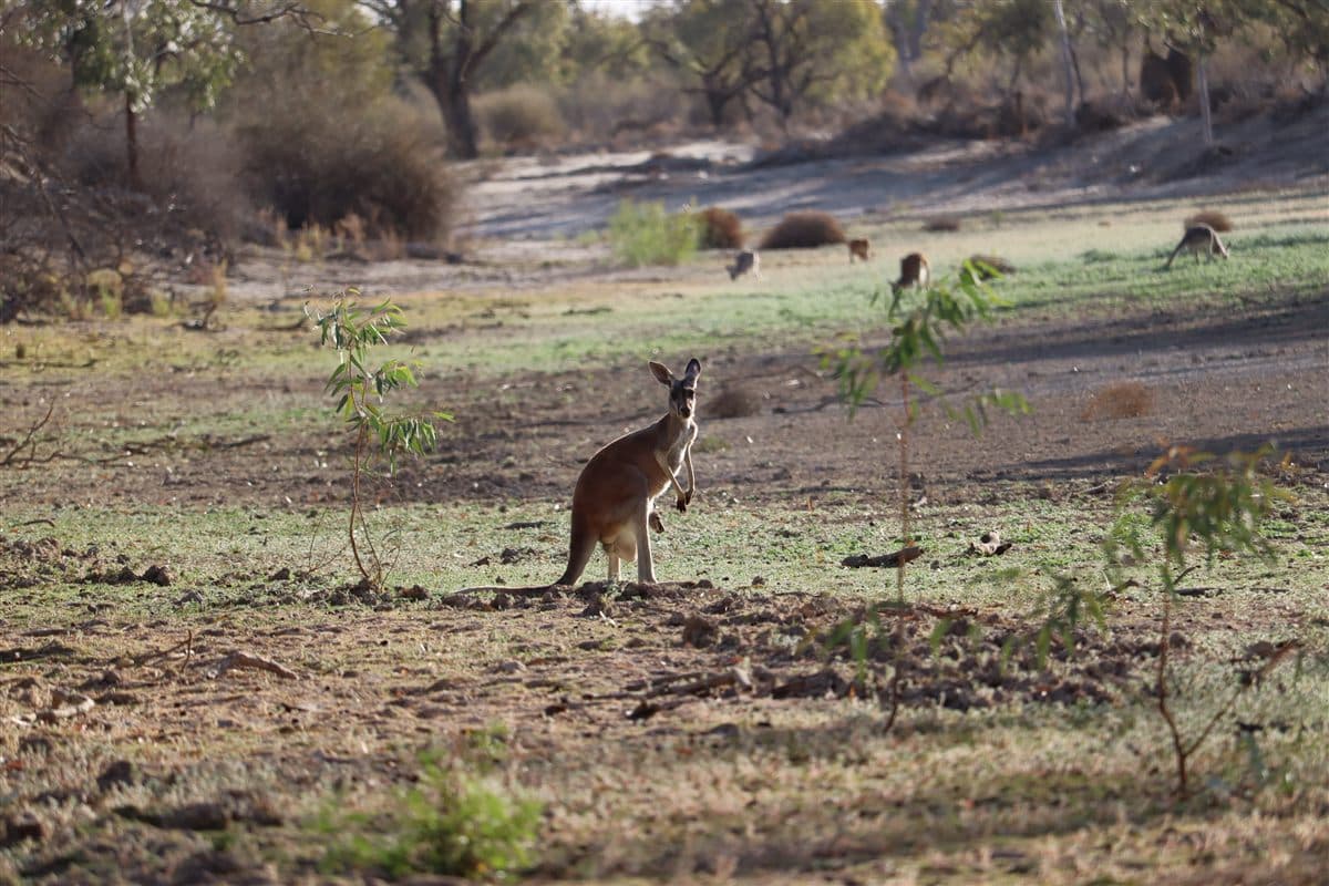 Moments from the guided tinny tour